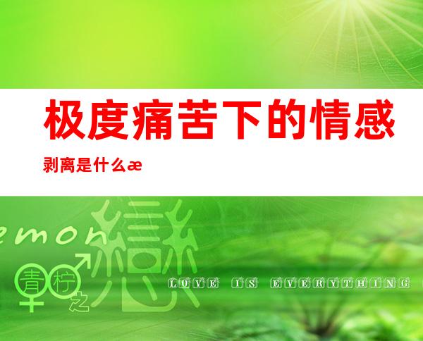 极度痛苦下的情感剥离是什么意思(极度痛苦下的情感剥离是什么意思呀)