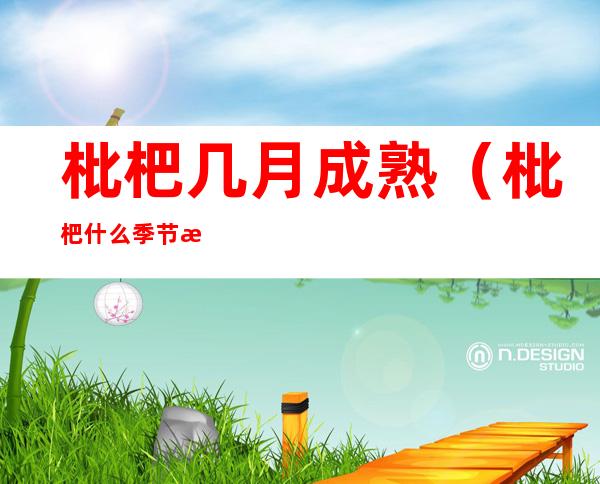 枇杷几月成熟(枇杷什么季节成熟)