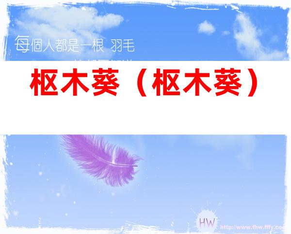 枢木葵（枢木葵）