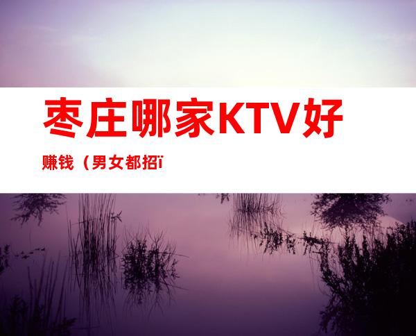枣庄哪家KTV好赚钱（男女都招）带你拿高薪的团队