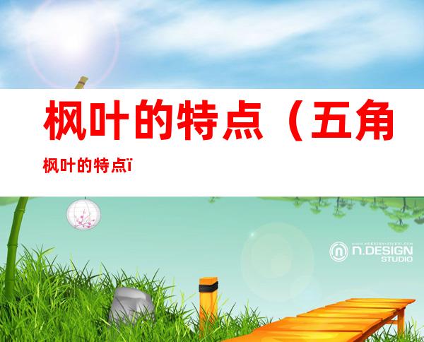 枫叶的特点（五角枫叶的特点）