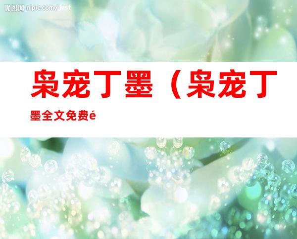 枭宠丁墨(枭宠丁墨全文免费阅读)