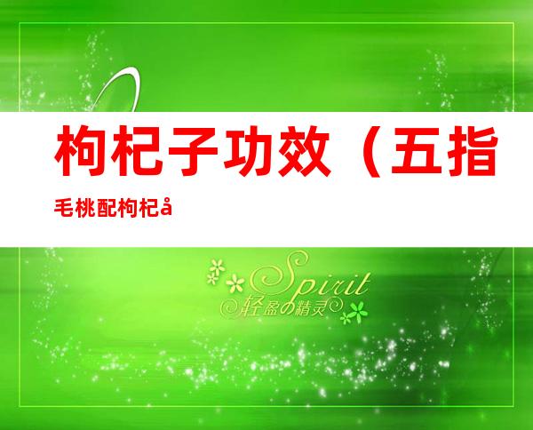枸杞子功效（五指毛桃配枸杞子功效）