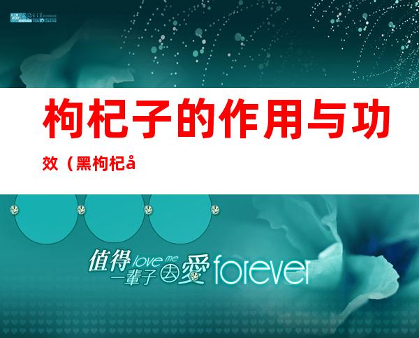 枸杞子的作用与功效(黑枸杞子的作用与功效)