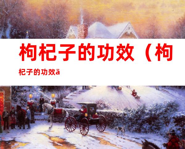 枸杞子的功效（枸杞子的功效与作用泡水喝的功效）