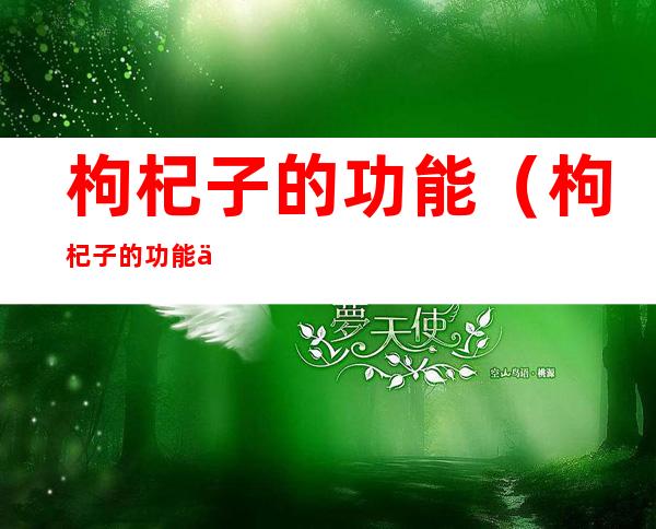 枸杞子的功能(枸杞子的功能主治)
