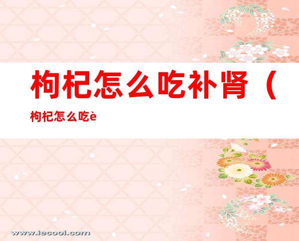枸杞怎么吃补肾(枸杞怎么吃补肾最好)