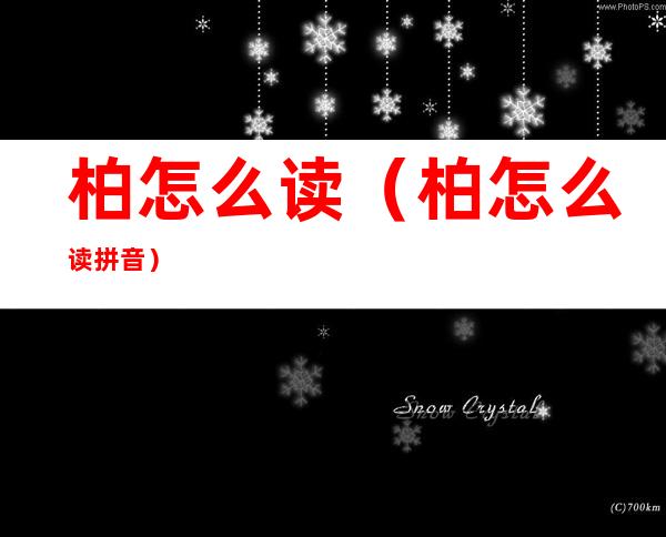 柏怎么读（柏怎么读 拼音）