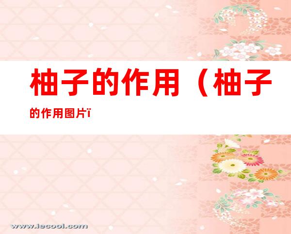 柚子的作用(柚子的作用图片)