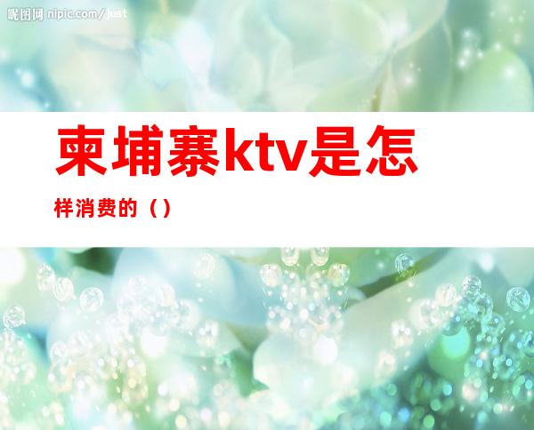 柬埔寨ktv是怎样消费的（）