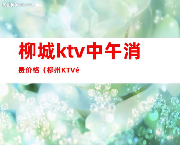 柳城ktv中午消费价格(柳州KTV预订)