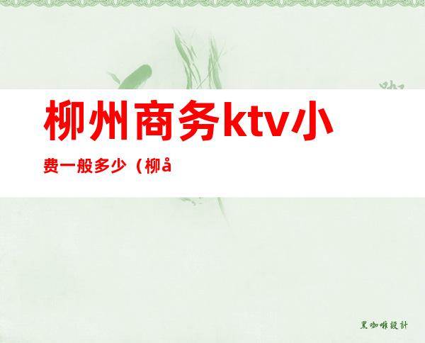 柳州商务ktv小费一般多少(柳州ktv一般消费多少)