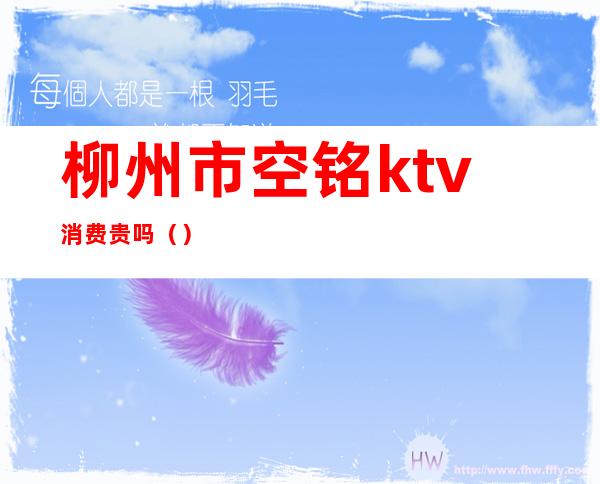 柳州市空铭ktv消费贵吗（）