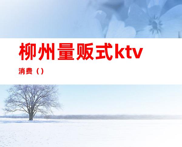 柳州量贩式ktv消费()
