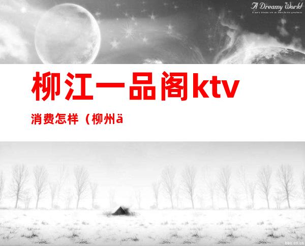 柳江一品阁ktv消费怎样(柳州一品阁KTV)
