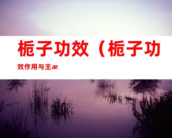 栀子功效(栀子功效作用与主治)