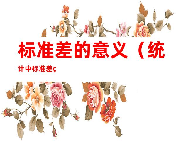 标准差的意义(统计中标准差的意义)