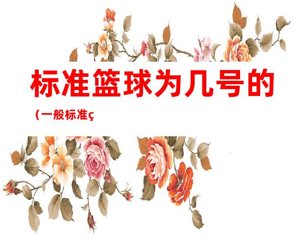 标准篮球为几号的(一般标准篮球是几号)