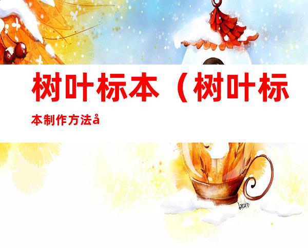 树叶标本(树叶标本制作方法做法 保留原色)