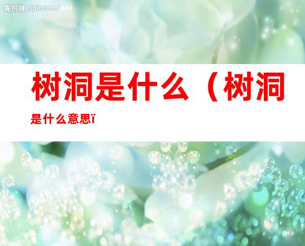 树洞是什么(树洞是什么意思)