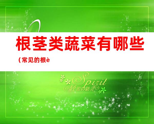 根茎类蔬菜有哪些(常见的根茎类蔬菜有哪些)