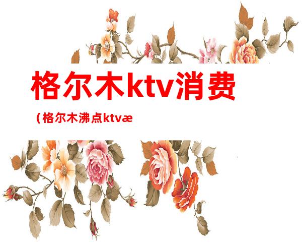 格尔木ktv消费（格尔木沸点ktv怎么样）
