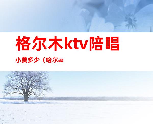 格尔木ktv陪唱小费多少(哈尔滨ktv陪唱多少钱)