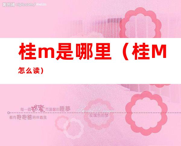 桂m是哪里（桂M怎么读）