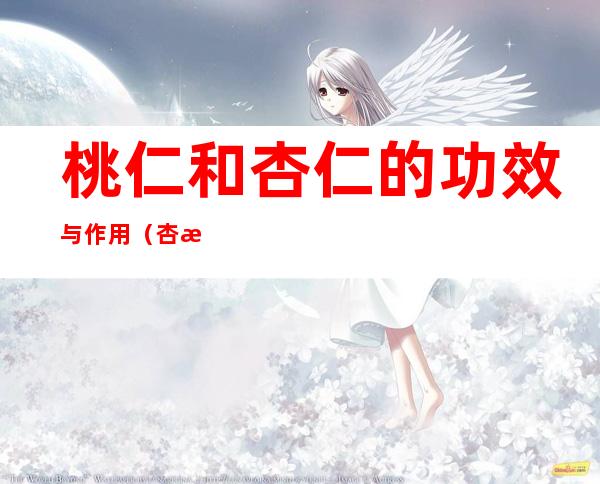 桃仁和杏仁的功效与作用(杏桃仁有什么作用和功效)