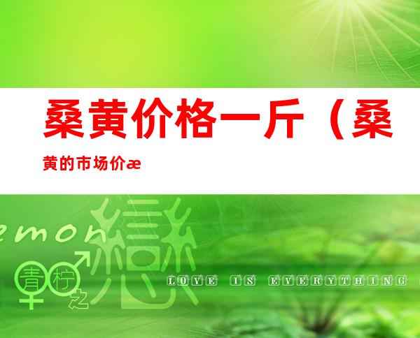 桑黄价格一斤(桑黄的市场价格)