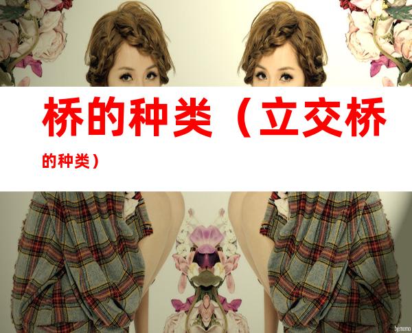 桥的种类(立交桥的种类)