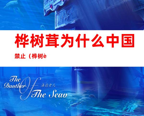 桦树茸为什么中国禁止(桦树茸禁止进口)
