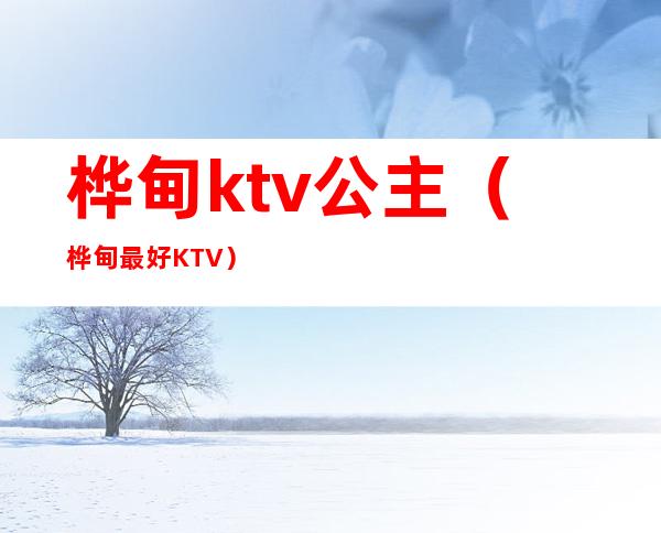 桦甸ktv公主(桦甸最好KTV)