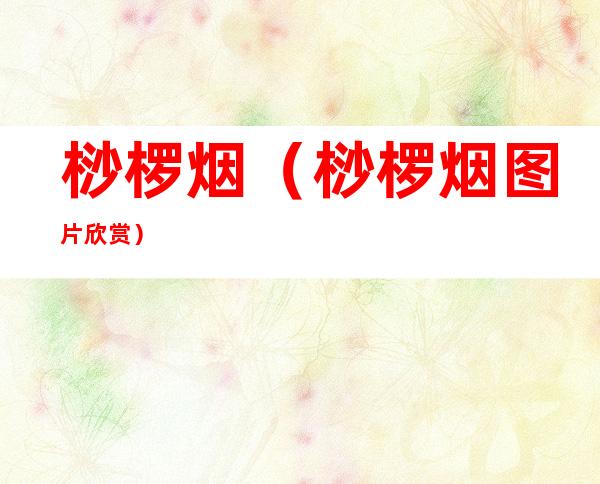 桫椤烟(桫椤烟图片欣赏)