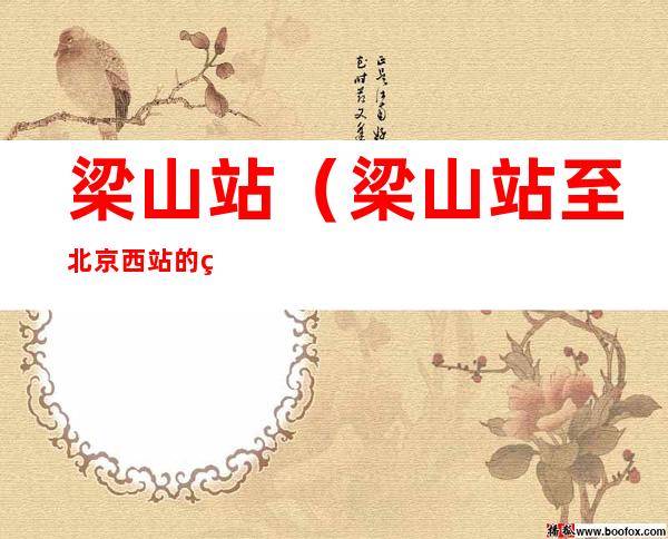 梁山站(梁山站至北京西站的直达火车)