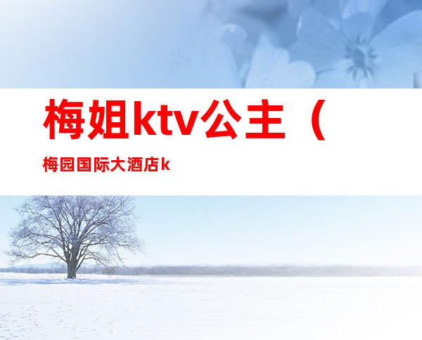 梅姐ktv公主(梅园国际大酒店ktv有公主)