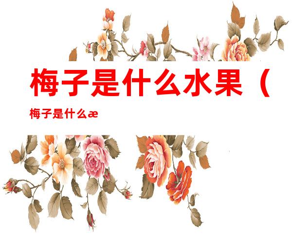 梅子是什么水果(梅子是什么水果是蓝眉还是画眉还是什么)
