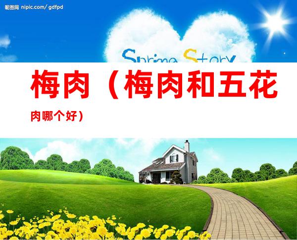 梅肉(梅肉和五花肉哪个好)