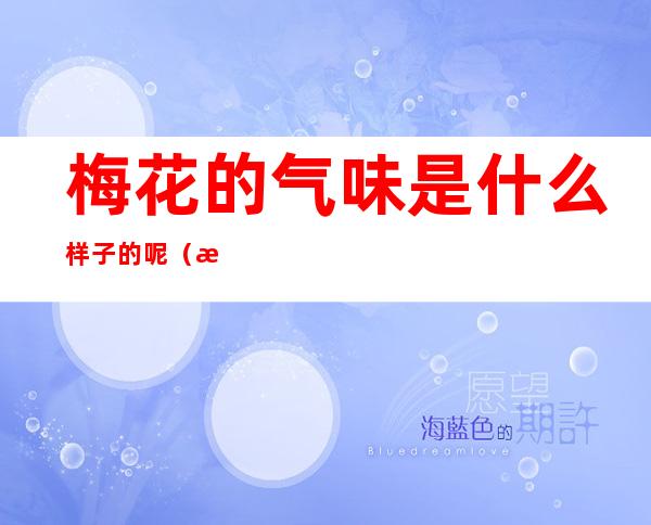 梅花的气味是什么样子的呢(梅花的气味是什么样子的呢一年级)