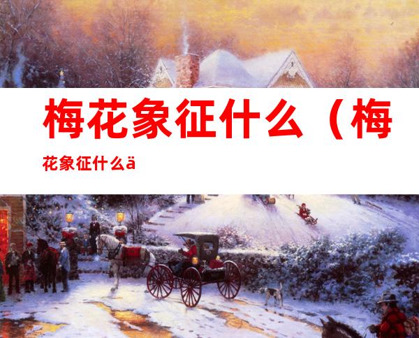 梅花象征什么(梅花象征什么人)