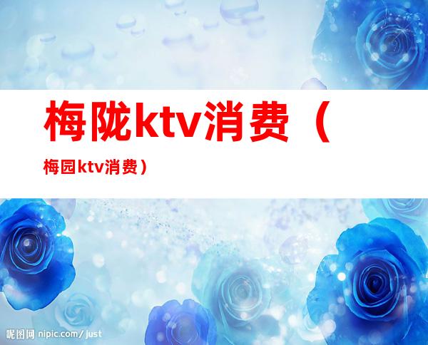 梅陇ktv消费(梅园ktv消费)