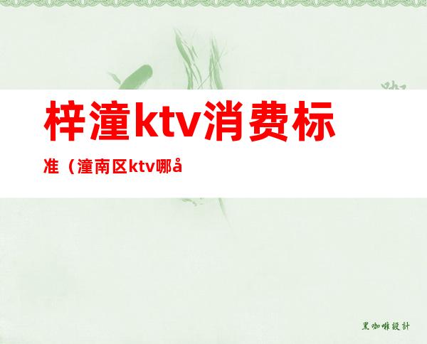 梓潼ktv消费标准（潼南区ktv哪家最好）