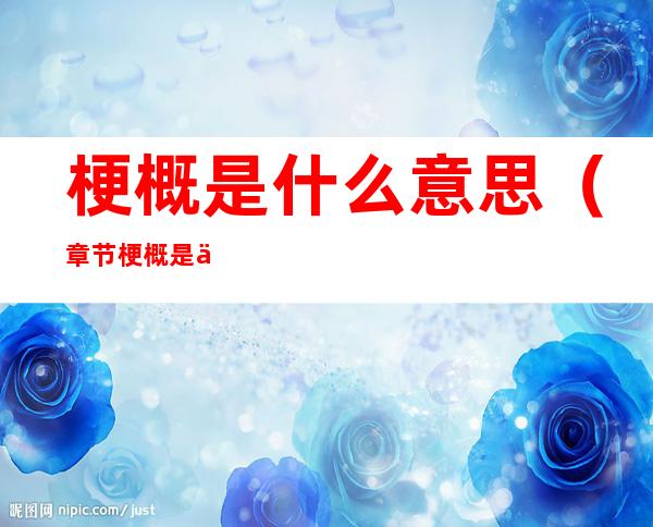 梗概是什么意思(章节梗概是什么意思)