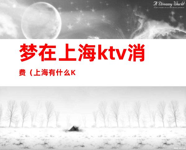 梦在上海ktv消费(上海有什么KTV)