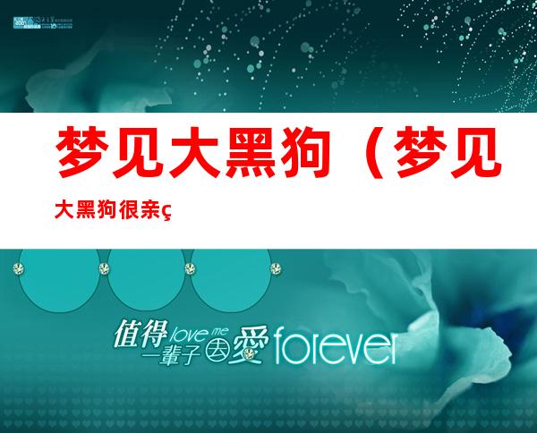 梦见大黑狗(梦见大黑狗很亲热温顺)