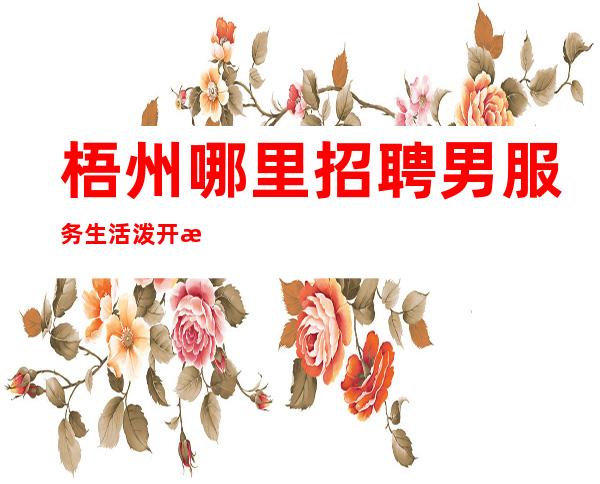 梧州哪里招聘男服务生=活泼开朗的性格非常适合这里