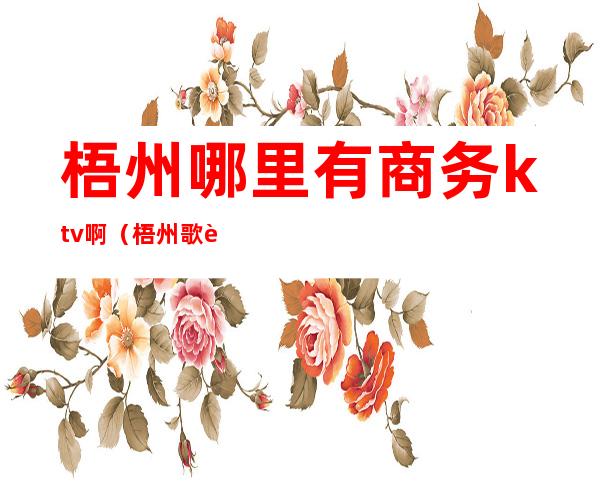 梧州哪里有商务ktv啊（梧州歌迷ktv）