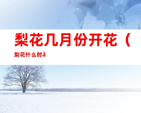 梨花几月份开花(梨花什么时候开花季节)
