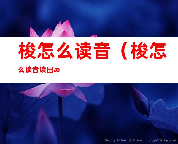 梭怎么读音(梭怎么读音读出来)