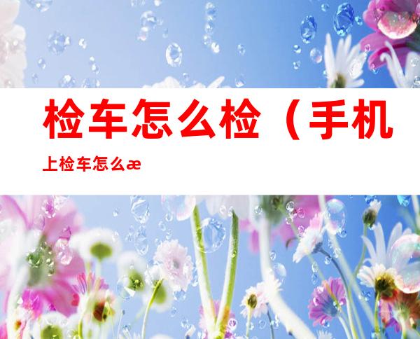 检车怎么检（手机上检车怎么检）